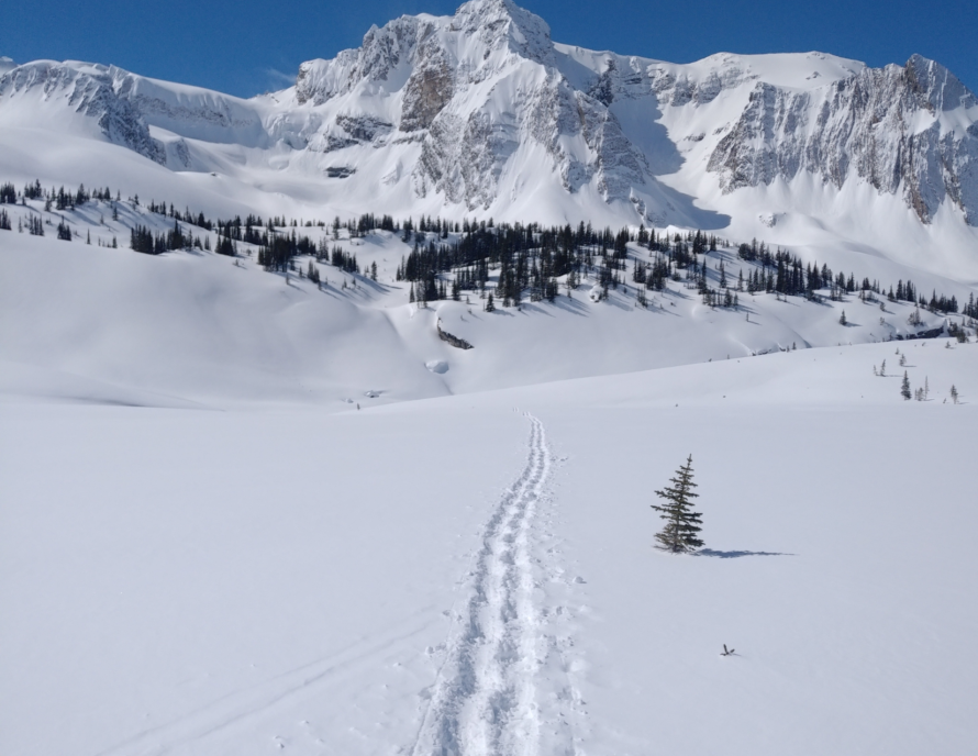 Tracks in the snow leading to the mountains