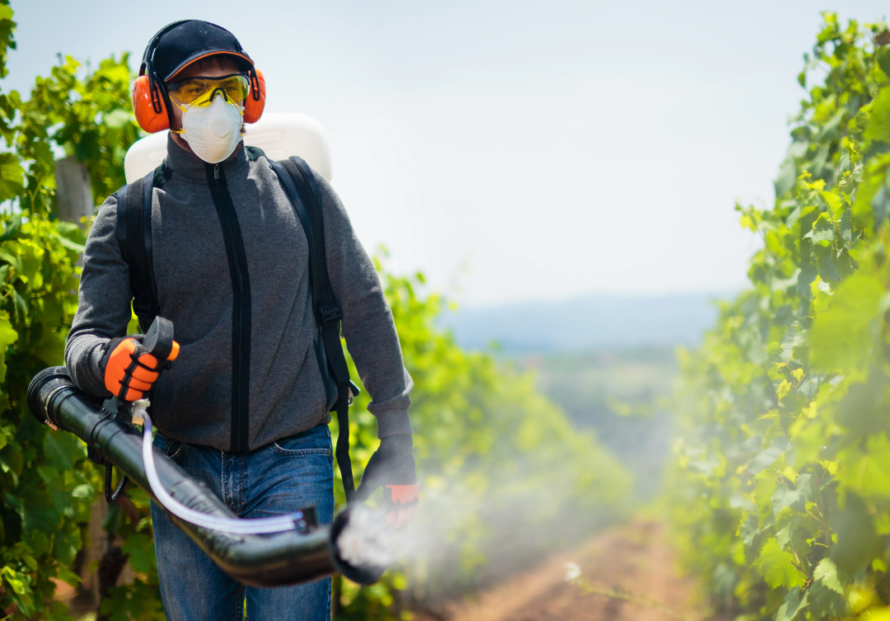 Man spraying pesticides