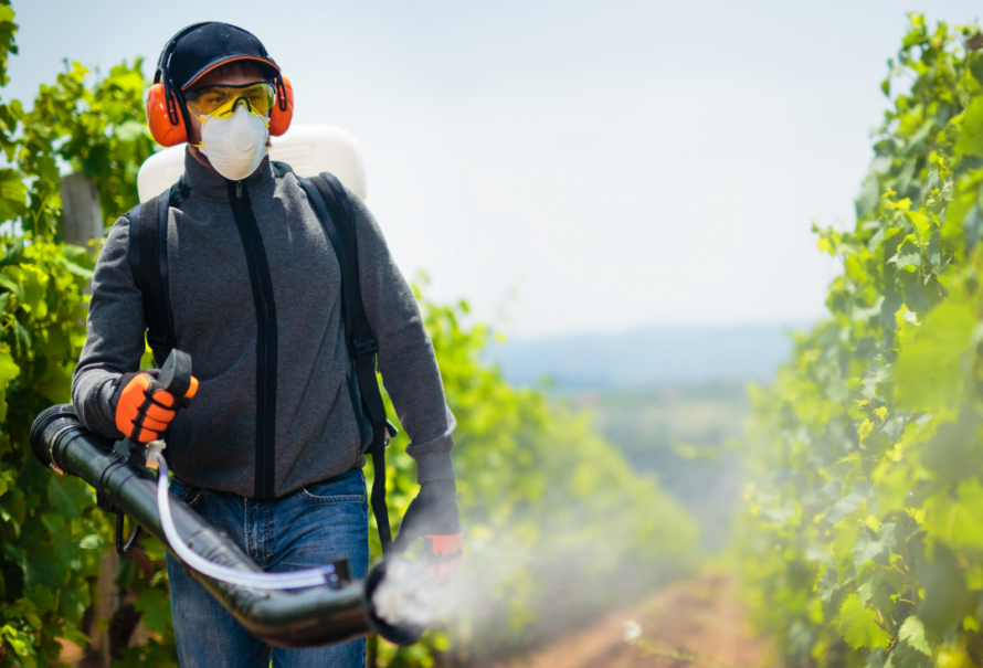 Homme pulvérisant des pesticides