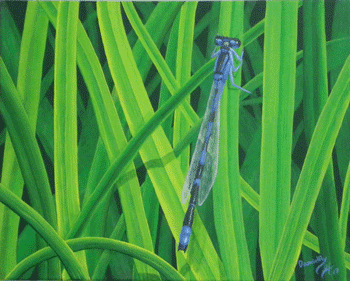 Damselfly par Janice Horn
